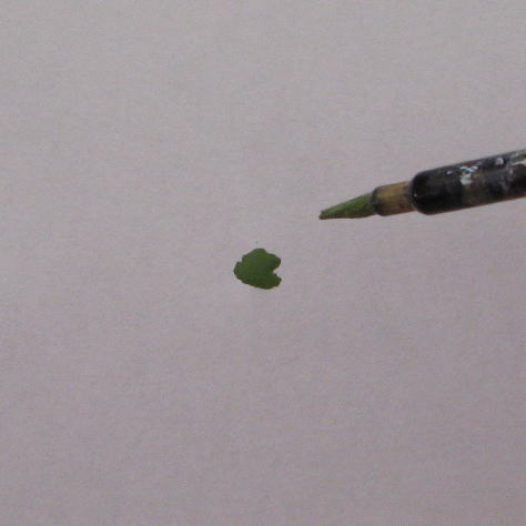 変わった道具 花の描き方-1